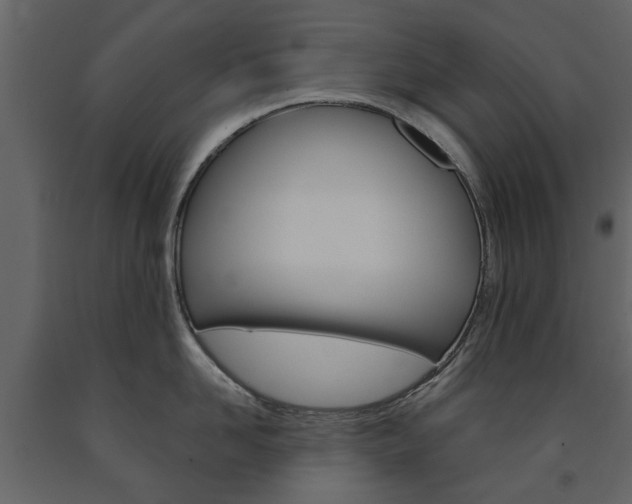 X0000091670958200708231010