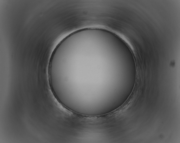 X0000091670959200708231010