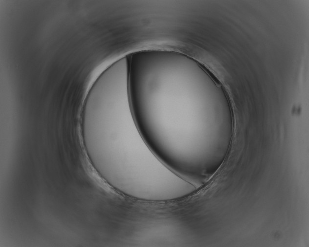 X0000091670960200708231010