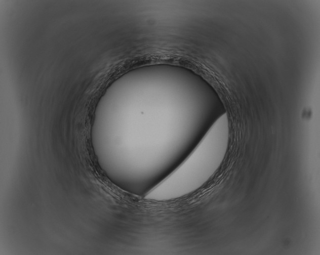 X0000091670961200708231010