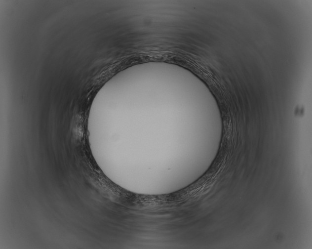 X0000091670962200708231010