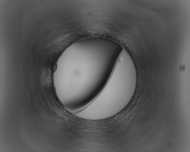 X0000091670963200708231010