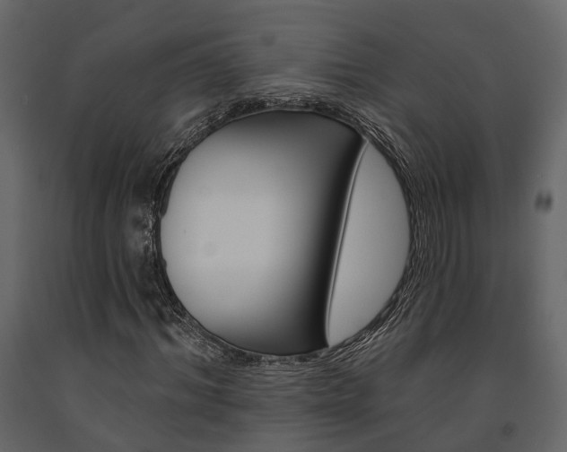X0000091670964200708231010