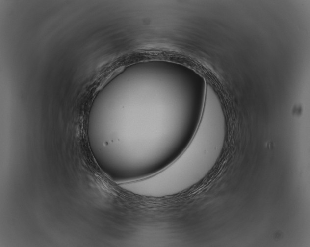 X0000091670965200708231010