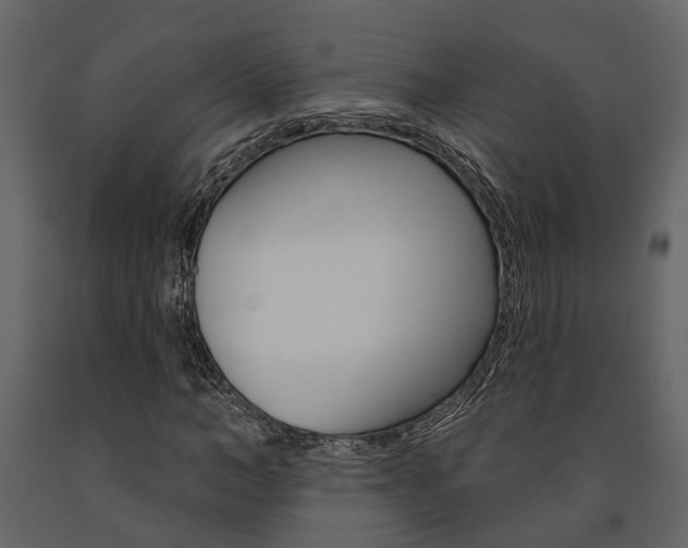 X0000091670966200708231009