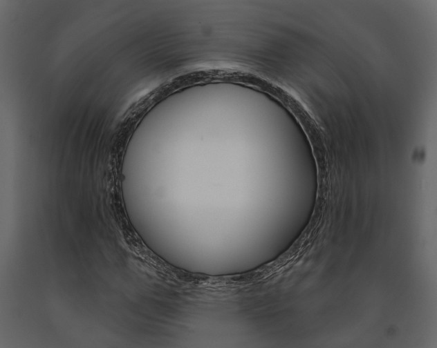 X0000091670967200708231009