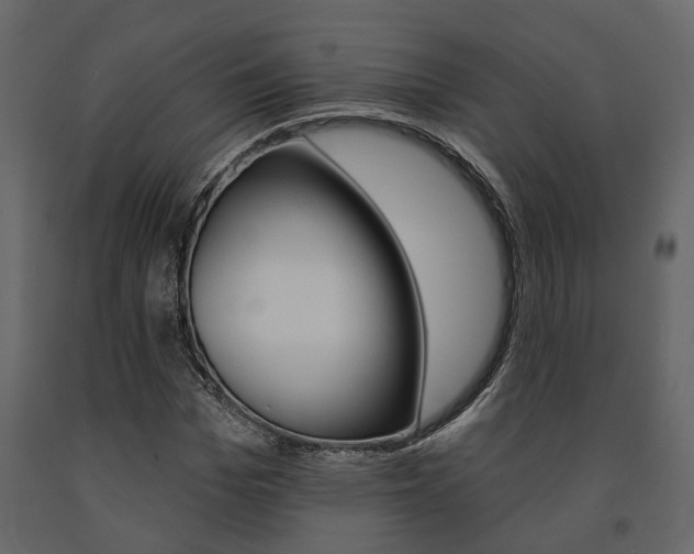 X0000091670969200708231009