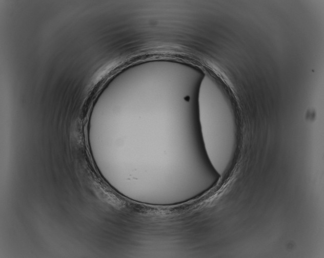 X0000091670970200708231009