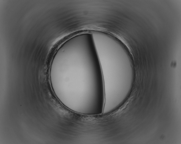 X0000091670971200708231009