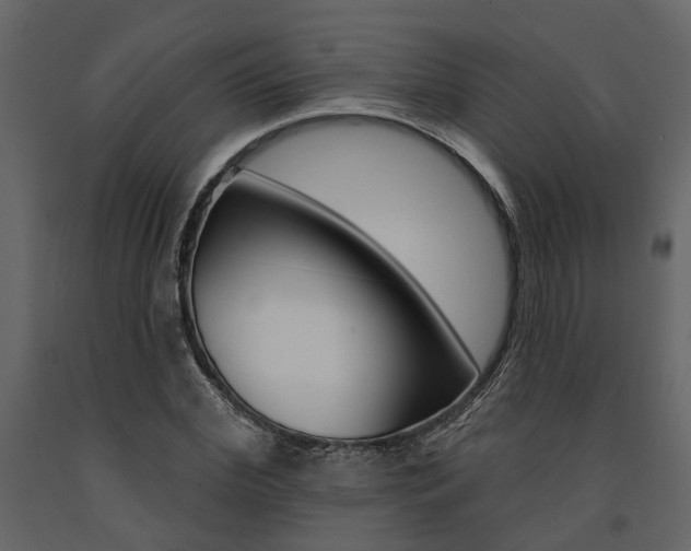 X0000091670972200708231009