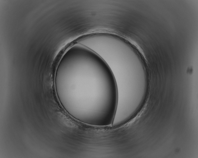 X0000091670973200708231009