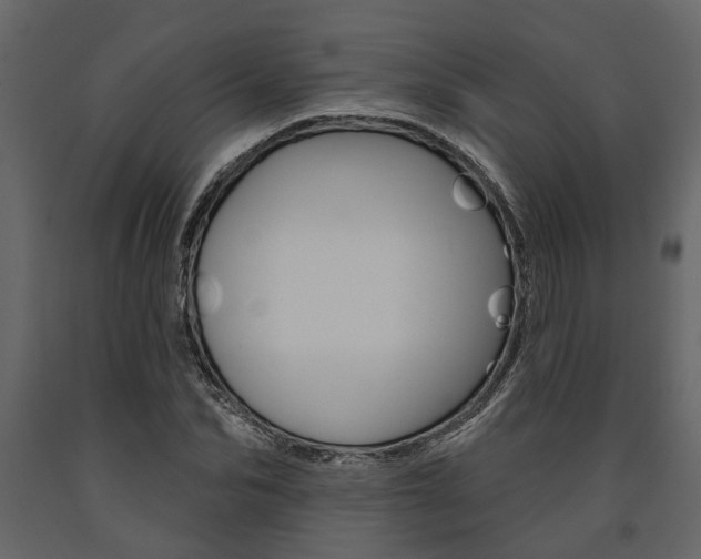 X0000091670974200708231009