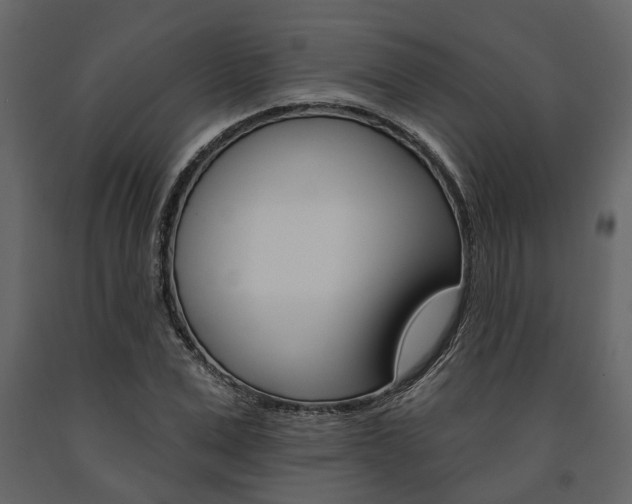 X0000091670975200708231009