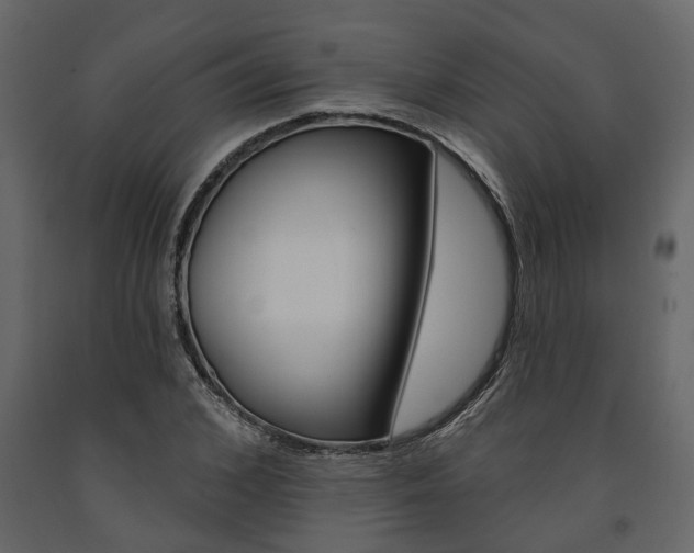 X0000091670976200708231009