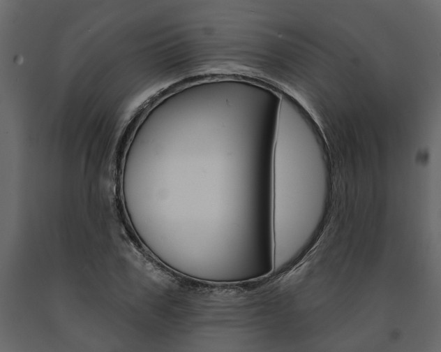 X0000091670979200708231009