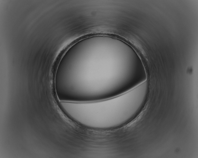 X0000091670981200708231009