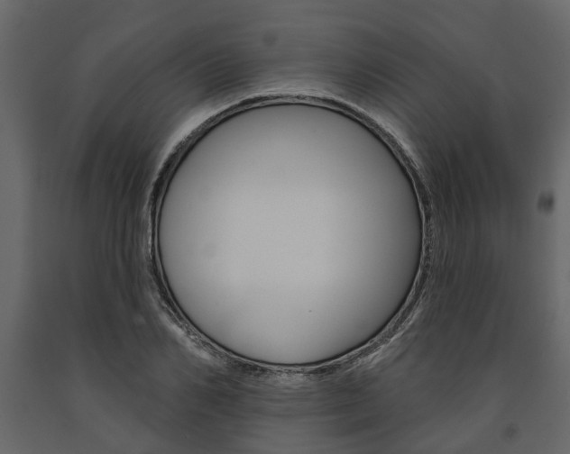 X0000091670982200708231009