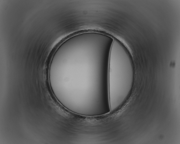 X0000091670983200708231009