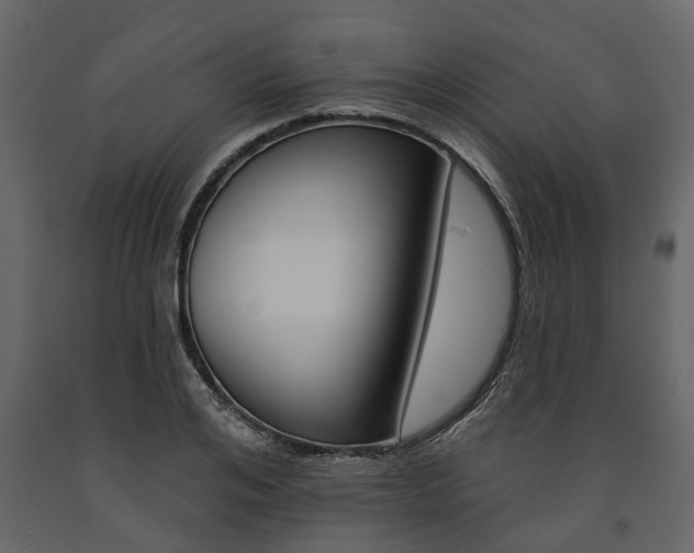 X0000091670984200708231009