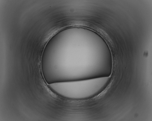 X0000091670985200708231009