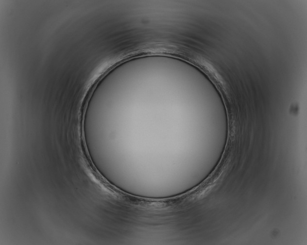 X0000091670986200708231009
