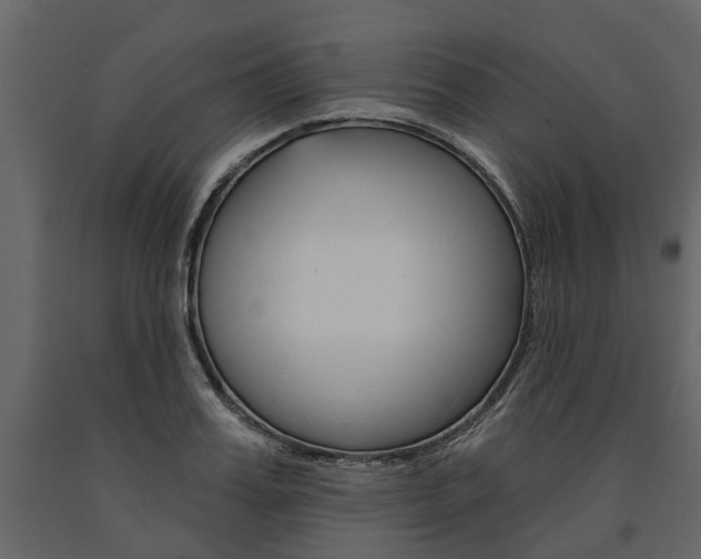 X0000091670987200708231009