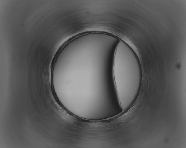 X0000091670988200708231009