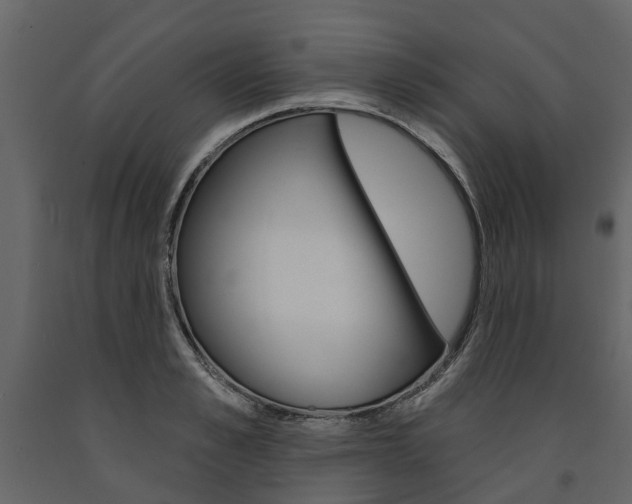 X0000091670989200708231009