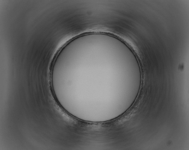 X0000091670990200708231009