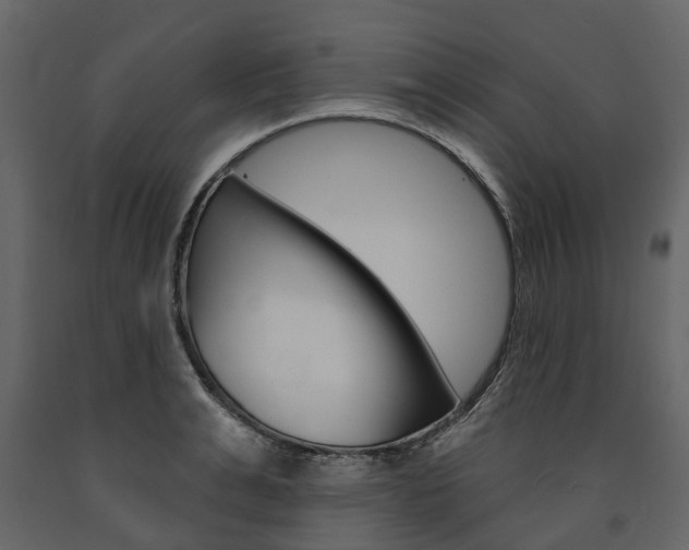 X0000091670991200708231009