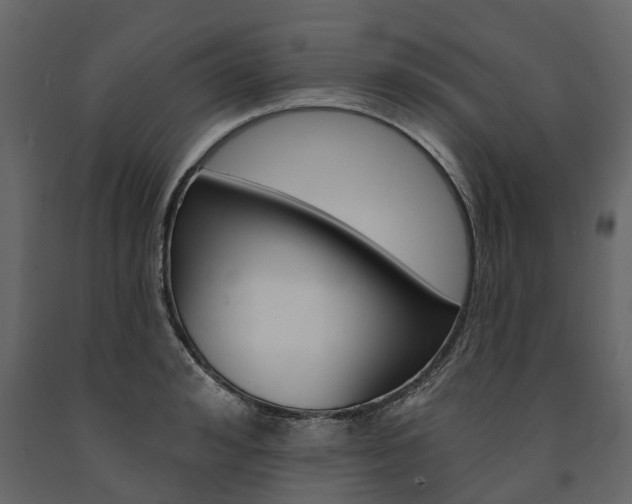 X0000091670992200708231009