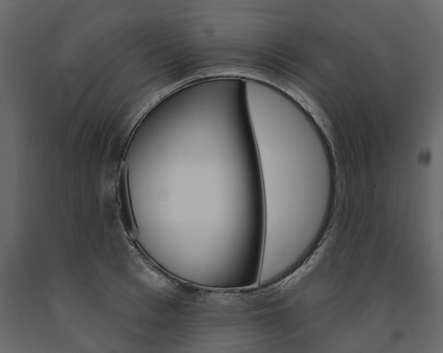 X0000091670993200708231009