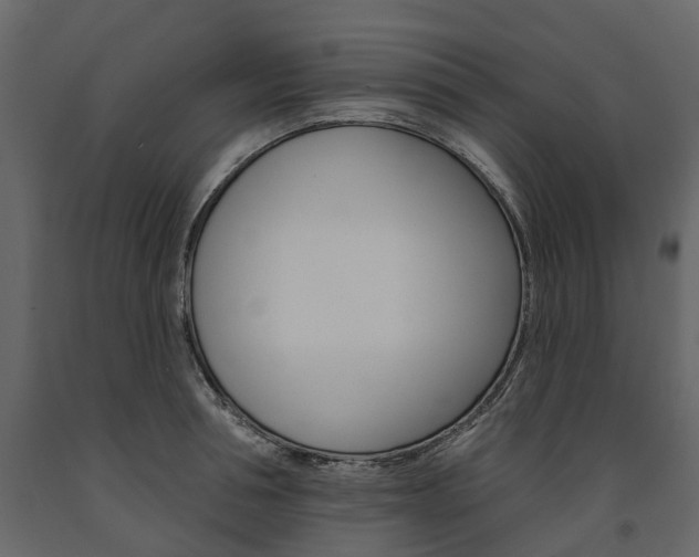 X0000091670994200708231009