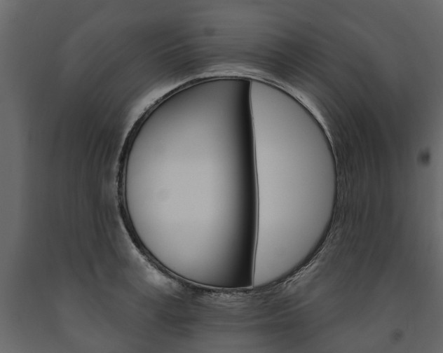 X0000091670995200708231009