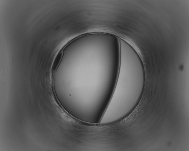 X0000091670996200708231009