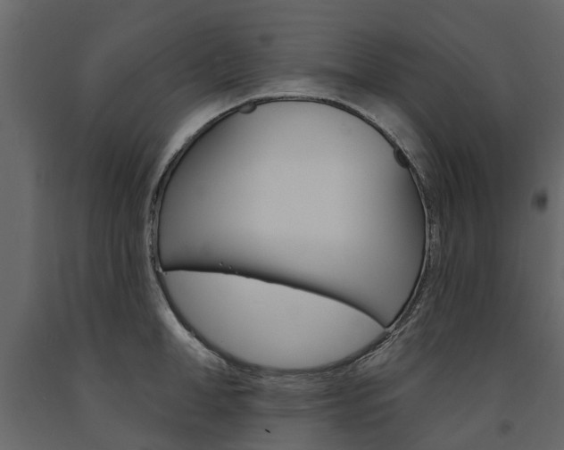 X0000091670998200708231009