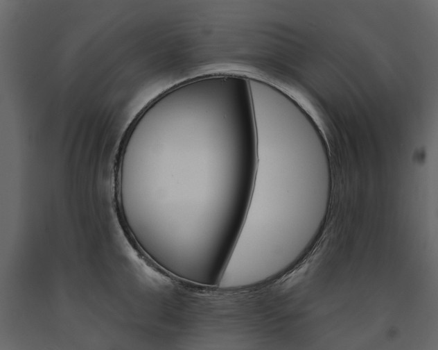 X0000091670999200708231009
