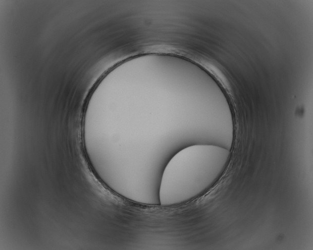 X0000091671000200708231009