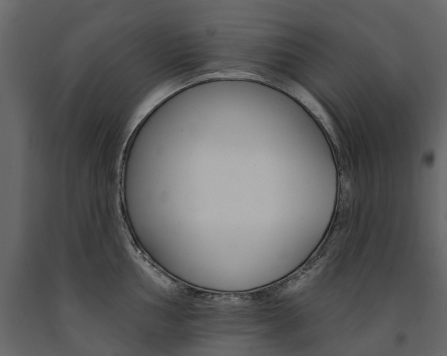 X0000091671002200708231009
