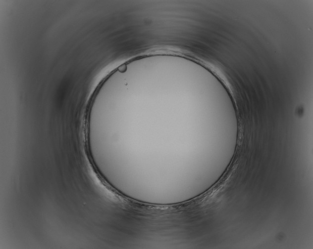 X0000091671003200708231009
