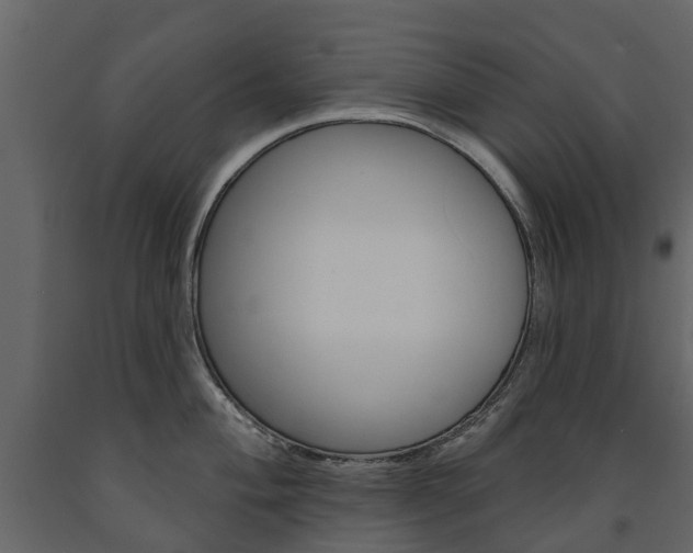 X0000091671004200708231009