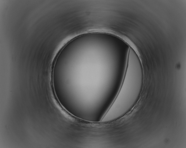 X0000091671005200708231009