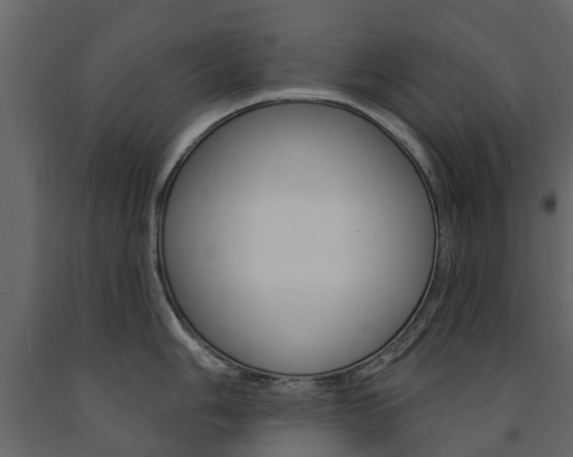 X0000091671006200708231009