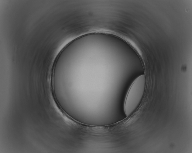 X0000091671007200708231009