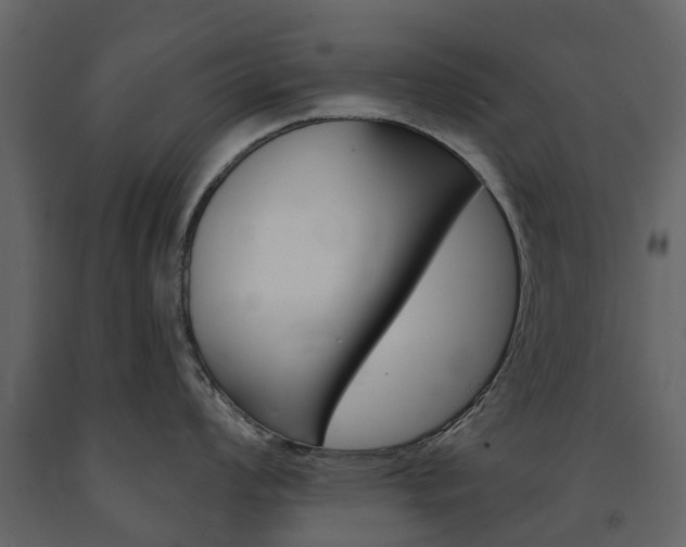 X0000091671008200708231009