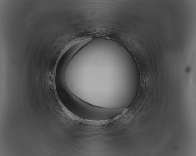 X0000091671010200708231008