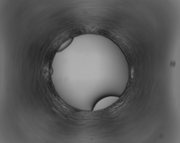 X0000091671011200708231008