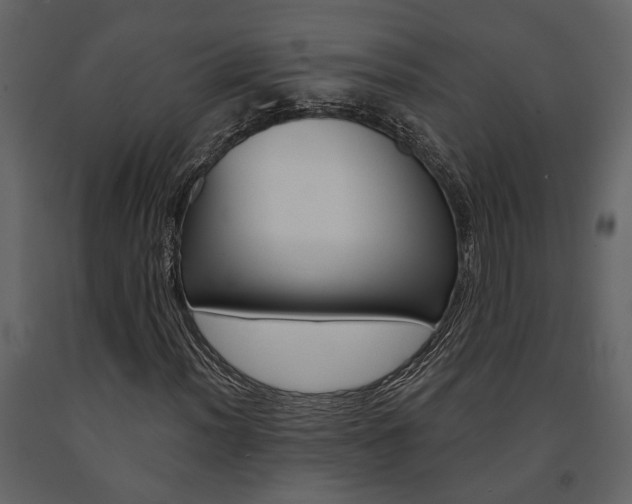 X0000091671012200708231008