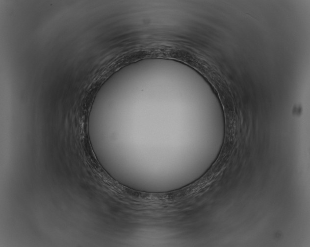 X0000091671013200708231008