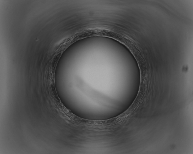 X0000091671014200708231008